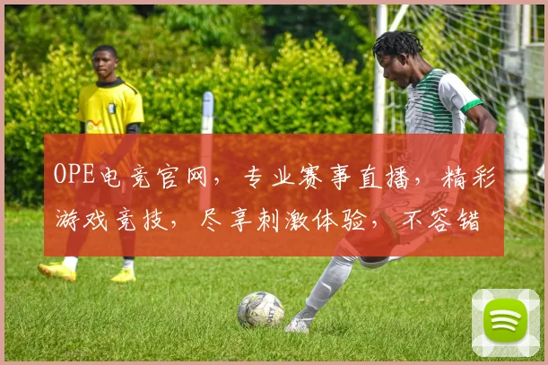 OPE电竞官网，专业赛事直播，精彩游戏竞技，尽享刺激体验，不容错过