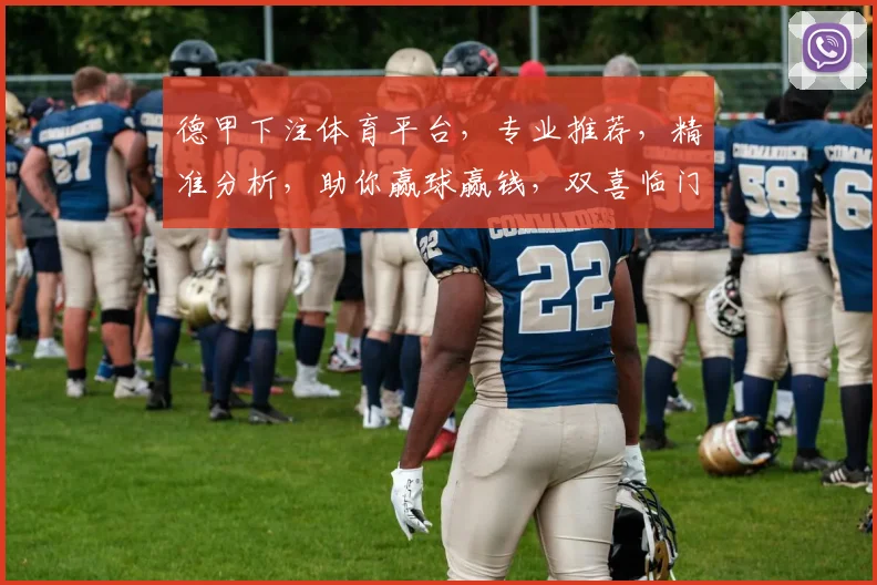 德甲下注体育平台，专业推荐，精准分析，助你赢球赢钱，双喜临门