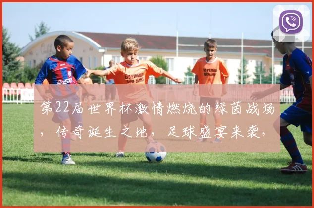 第22届世界杯激情燃烧的绿茵战场，传奇诞生之地，足球盛宴来袭，你准备好了吗