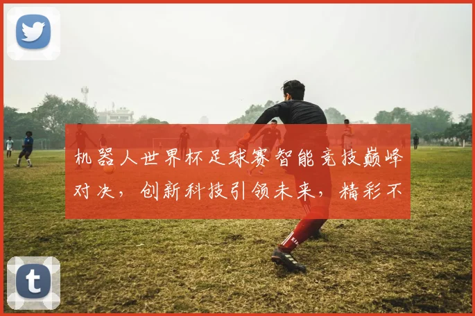 机器人世界杯足球赛智能竞技巅峰对决，创新科技引领未来，精彩不容错过