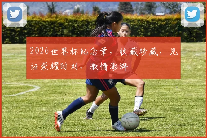 2026世界杯纪念章，收藏珍藏，见证荣耀时刻，激情澎湃